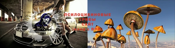 гашик Арсеньев