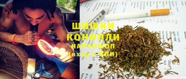 бошки Аркадак