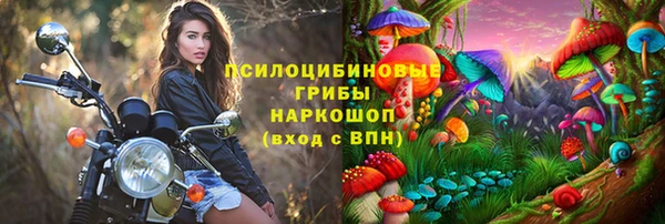бошки Аркадак
