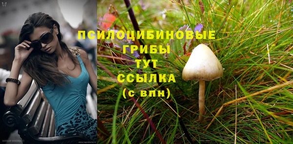 бошки Аркадак