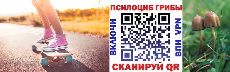Псилоцибиновые грибы Cubensis Новосиль